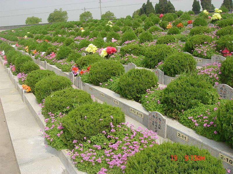 昆明公墓有生态葬吗?昆明生态葬是那种形式? 昆明公墓有生态葬吗?昆明生态葬是那种形式?