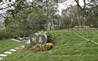 昆明公墓树葬有什么好处？昆明树葬墓园都怎么样呢？