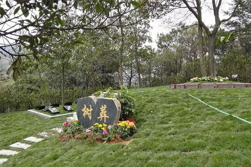 昆明公墓树葬有什么好处？昆明树葬墓园都怎么样呢？