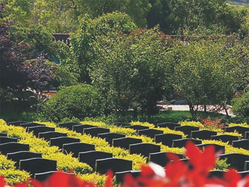 清明节的祭扫习俗有哪些？昆明观音山公墓怎么样？