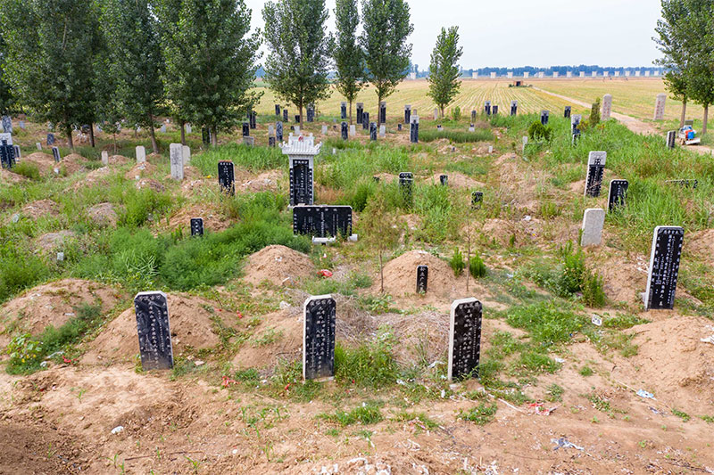 农村墓地最久只有曾祖父辈