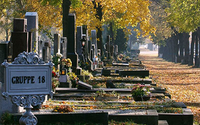 法国人为什么在墓地约会？