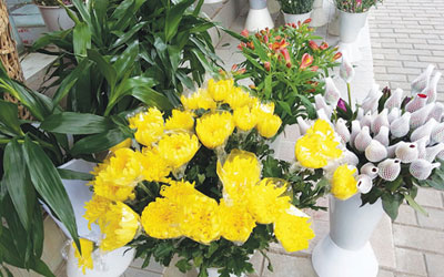 清明节祭拜先人适合用什么花？有什么寓意？