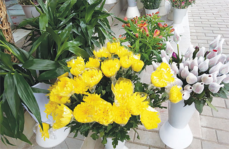 清明节祭拜先人适合用什么花？