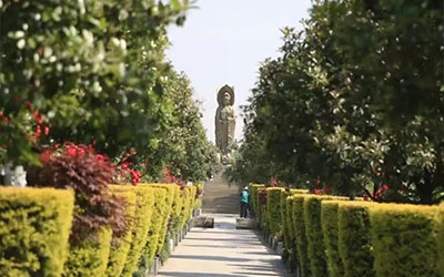 墓地墓穴编号都有哪些讲究