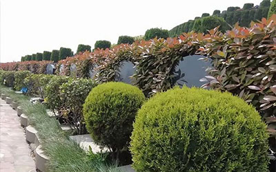 看坟地在风水学说有什么要注意的吗