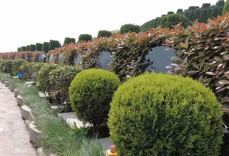 看坟地在风水学说有什么要注意的吗