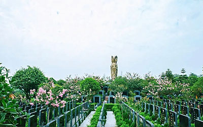 看草断坟好坏吉凶真这么神吗