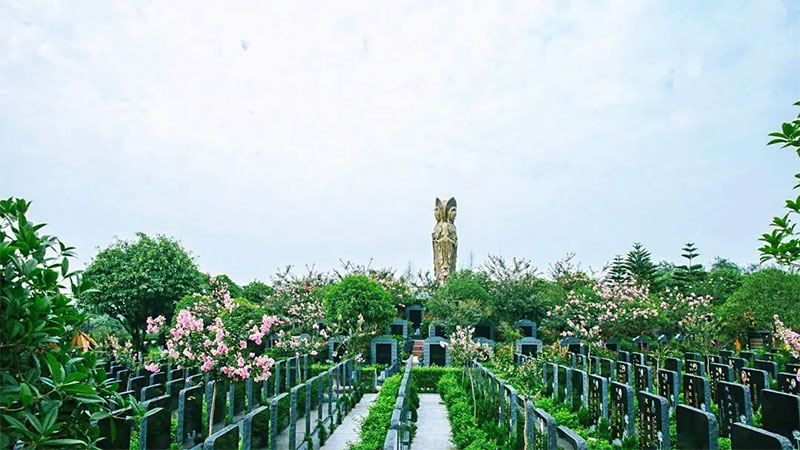 看草断坟好坏吉凶真这么神吗