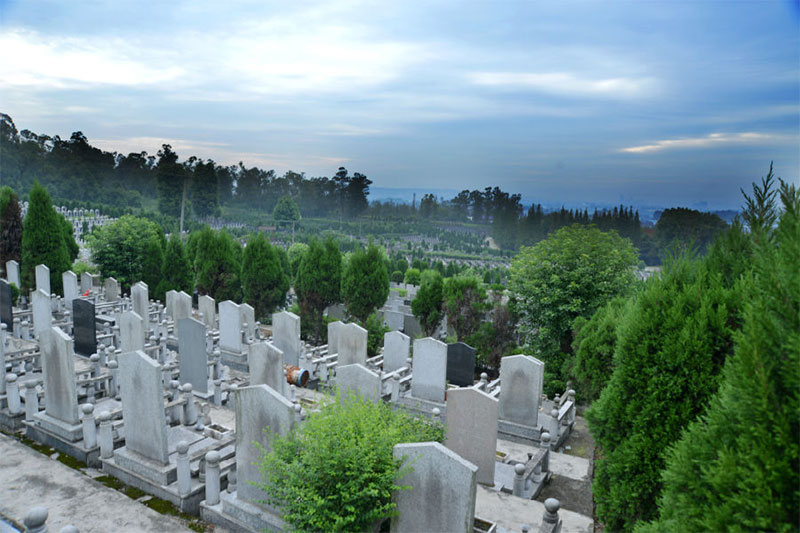 先人墓地风水禁忌：一种东西必须保留，一种必须清除
