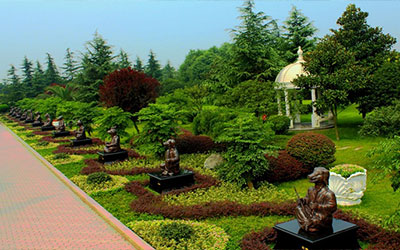 墓地风水大揭秘，论寅、甲、卯、乙龙之穴！还不一起来看看？