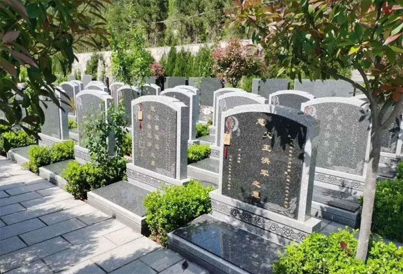 坟墓长什么草后人发财,坟墓风水禁忌 坟墓长什么草后人发财,坟墓风水禁忌