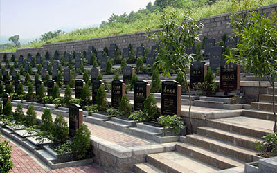 坟墓前出现蝴蝶是吉还是凶，坟墓出现蝴蝶是好事吗