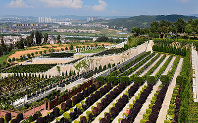 昆明祥和陵园和长松园哪个更好？墓园的环境怎么样？