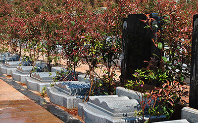 金宝山艺术陵园的丧葬方式有哪些？该墓园的生态葬怎么样？