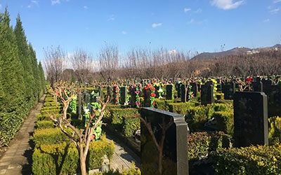 云南公墓风水一说