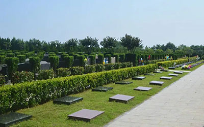 墓地使用年限只有20年，到期不续费会怎样？