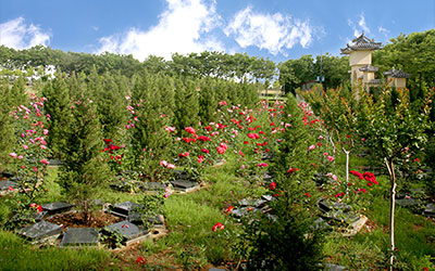 “互联网+殡葬服务”是什么？“互联网+殡葬服务”的墓园有哪里？