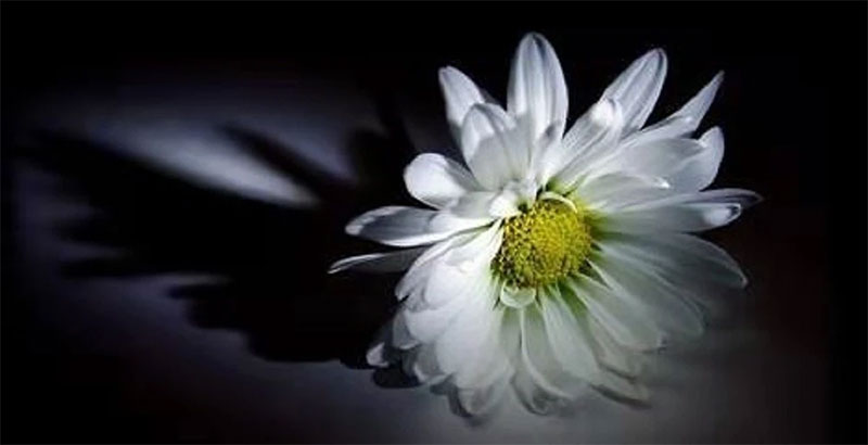 对于死亡,好的告别方式是什么 对于死亡,好的告别方式是什么