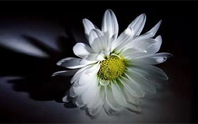 对于死亡，好的告别方式是什么