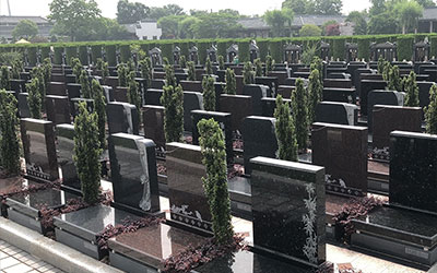 墓地的东边不能放什么