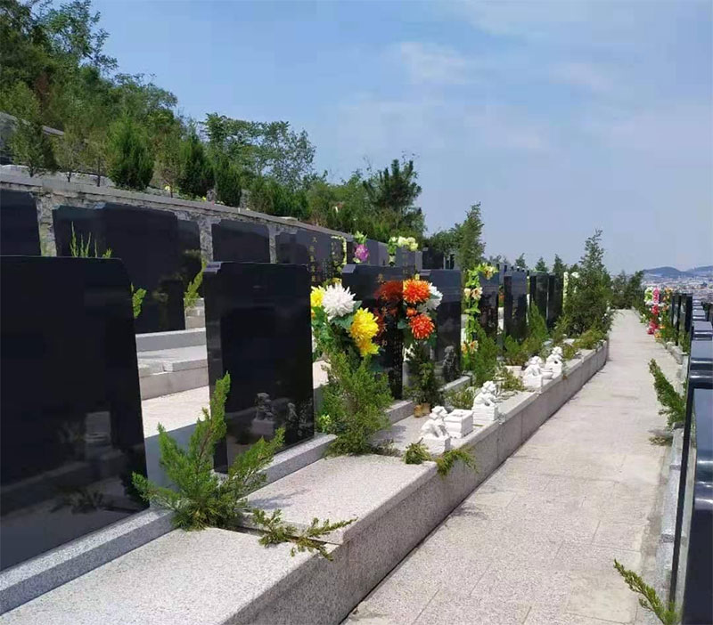 墓地风水知识大全