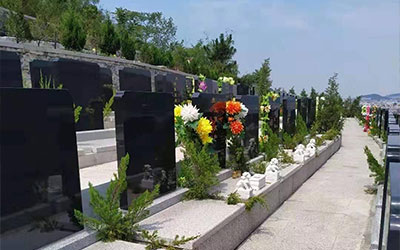 墓地风水知识大全