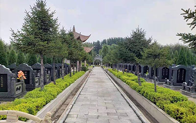 墓地不能建在哪里