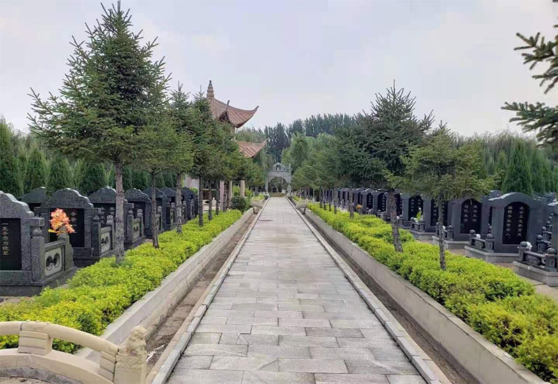 墓地不能建在哪里