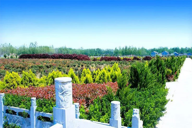 选择家族墓地好还是传统墓地好 选择家族墓地好还是传统墓地好