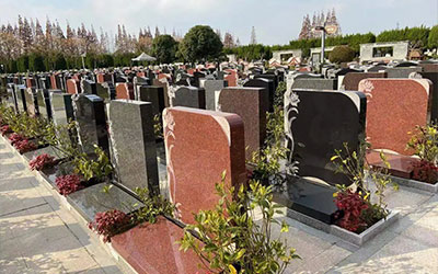 公墓之中的巧点穴