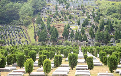 公墓的基本概念与知识详解
