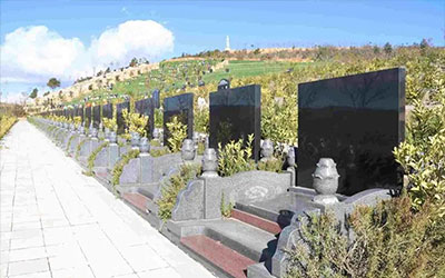 坟墓的正前方这些东西不应该出现