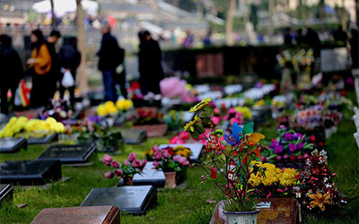 什么是植树葬？