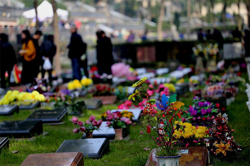 什么是植树葬？