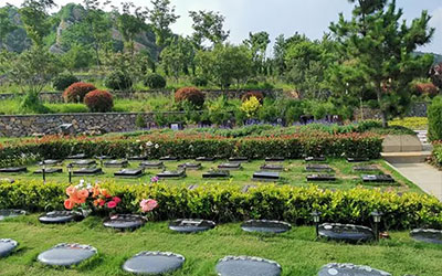 什么是草坪葬？这篇文章告诉你所有的答案