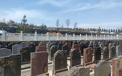 如何判断墓地管理是否得当？