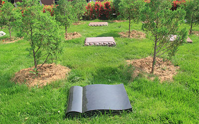 树葬墓地怎么样？昆明哪家公墓有？