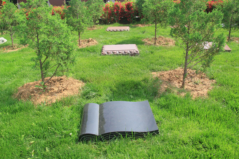 树葬墓地怎么样