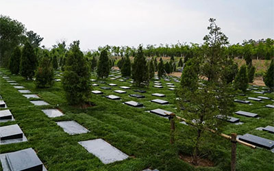 公益性公墓与经营性公墓的区别只看这三点就够了