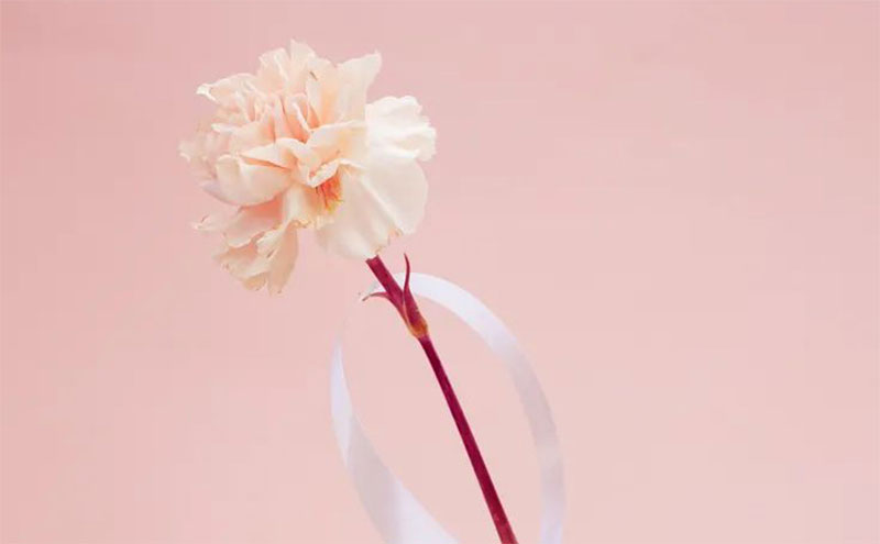 【殡葬史话】丧葬中的挽歌 【殡葬史话】丧葬中的挽歌