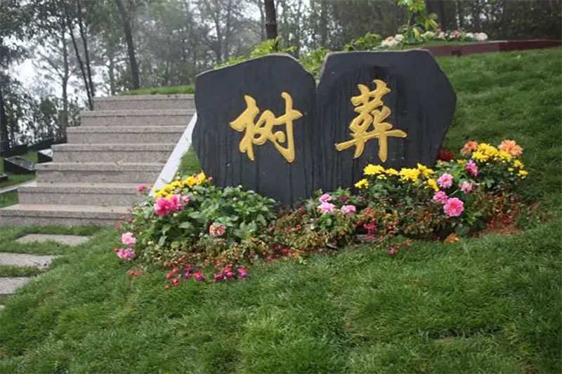 百姓越来越认可的树葬有什么优势? 百姓越来越认可的树葬有什么优势?