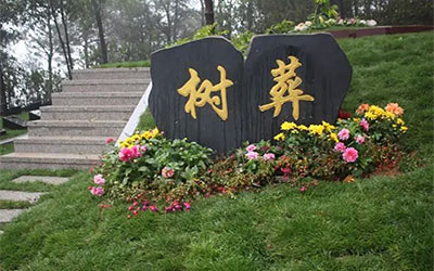 百姓越来越认可的树葬有什么优势？