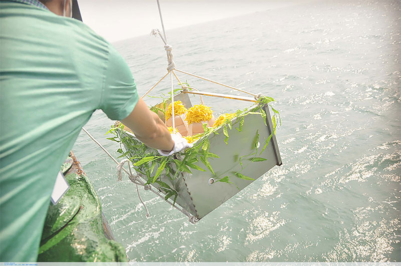 骨灰撒海经济环保,节约土地,逐渐被人们接受 骨灰撒海经济环保,节约土地,逐渐被人们接受