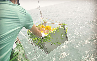 骨灰撒海经济环保，节约土地，逐渐被人们接受