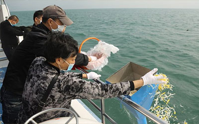 骨灰海葬-经济环保、回归自然
