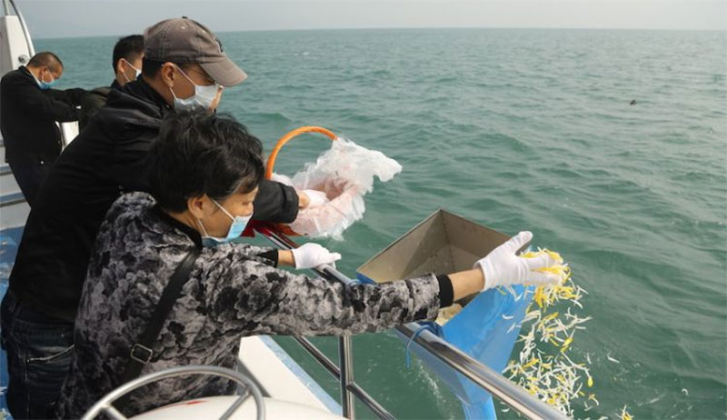 骨灰海葬-经济环保、回归自然