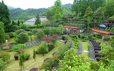 提前买寿穴有什么好处？提前购买福位好吗？