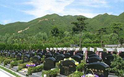 树葬办理需要什么手续？