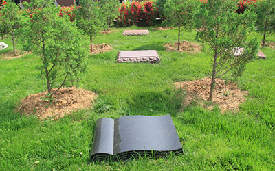 环保树葬，响应国家号召